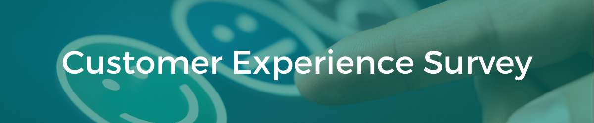 Customer Experience Survey